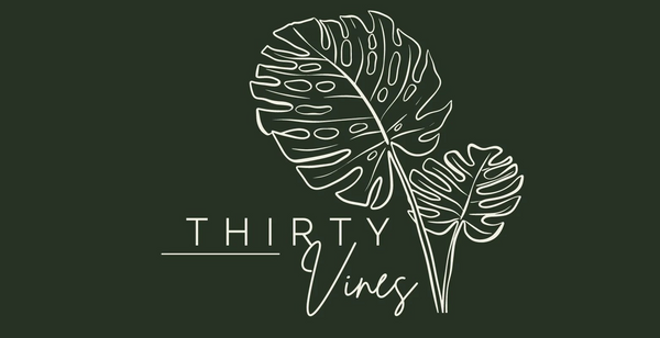 Thirty Vines